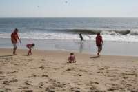 beach091007_small.jpg