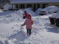 blizzard2010_17_small.jpg