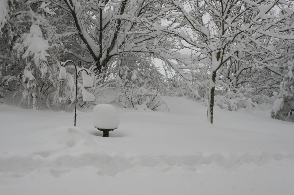 blizzard2010_42.jpg