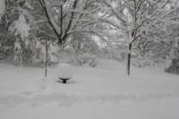 blizzard2010_42_small.jpg