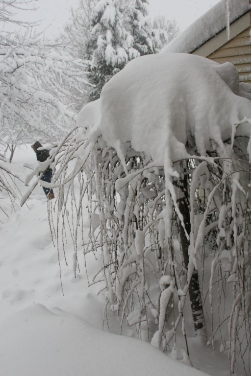 blizzard2010_46.jpg