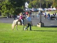 fallfestival58_small.jpg