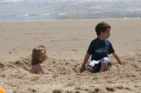 beach091142_small.jpg