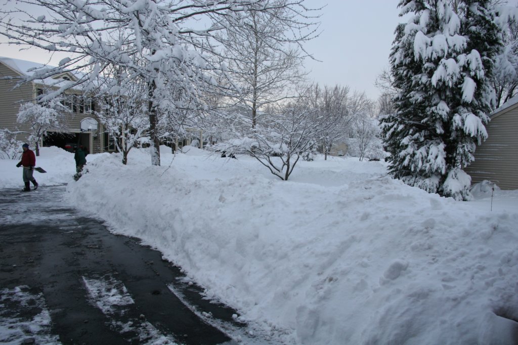 blizzard2010_10.jpg