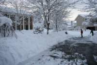 blizzard2010_11_small.jpg