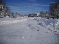 blizzard2010_36_small.jpg