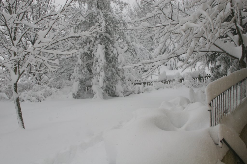 blizzard2010_43.jpg