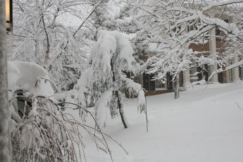 blizzard2010_45.jpg