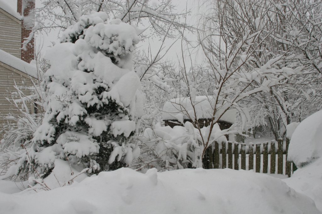 blizzard2010_50.jpg