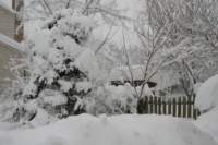 blizzard2010_50_small.jpg